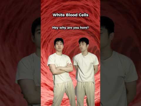 How Your Body Handles Good and Bad Bacteria