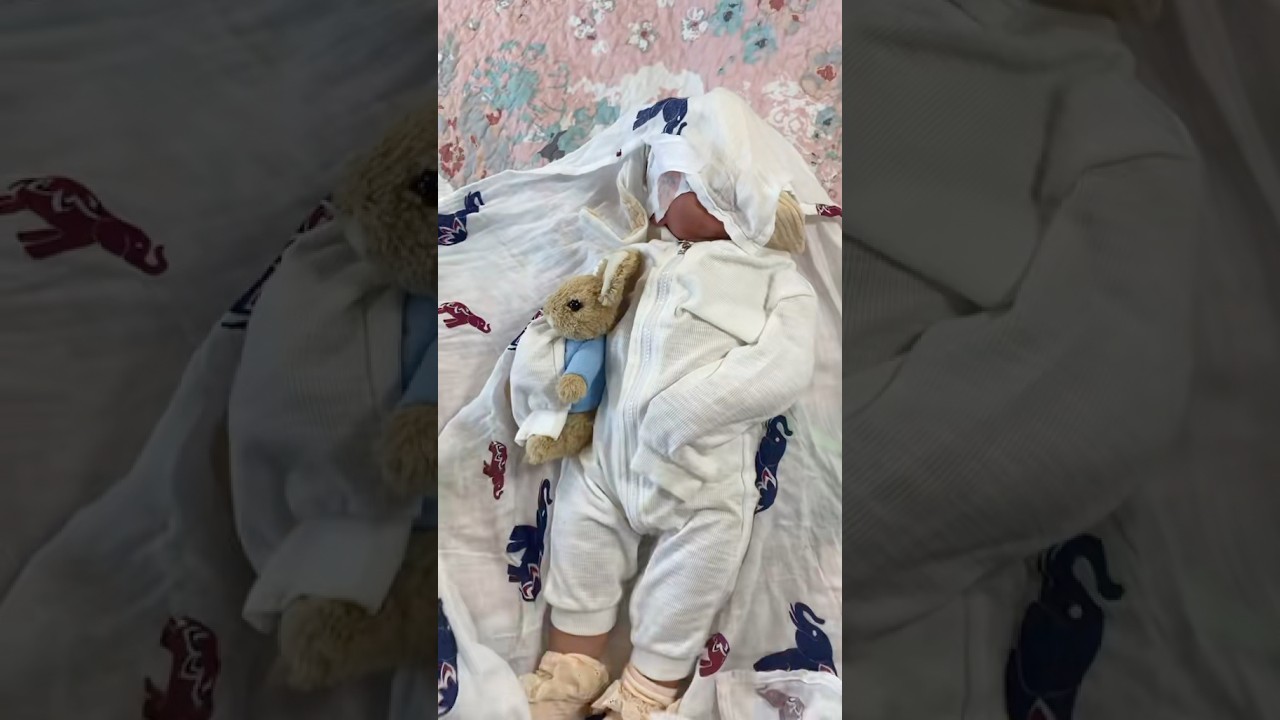 Realistic Reborn Toddler Doll Box Opening