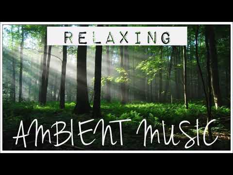 Ambient Music | WALKING IN THE WOOD | Relax Meditation Concentration Spa Soothe