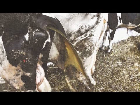 Болит спина и темные выделения у беременной Грыжа шейного отдела позвоночника лечение уколы