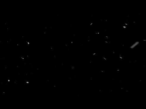 4K Snow Overlay Free Download | Snow Falling Overlay Free Download | #Snow #Overlays #Snowoverlays