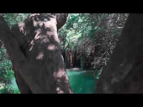 Angel Lover - Jungle