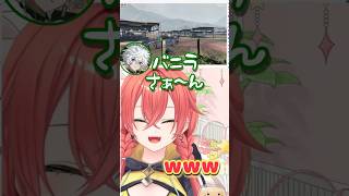 【にじさんじ切り抜き】神タイミングで通りかかる叢雲カゲツに爆笑するバニラさんとあかぴゃ #madtown #にじさんじ #獅子堂あかり