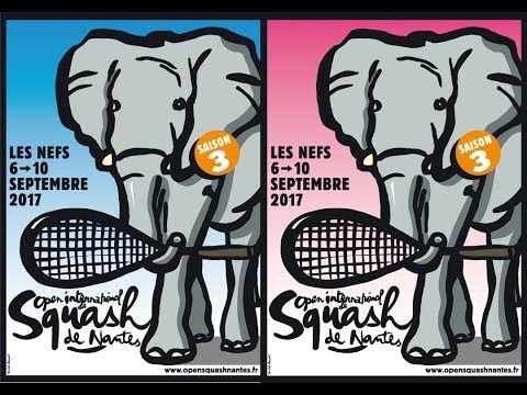 Live First Day Open International de Squash de Nantes 2017 at "La Maison du Squash"