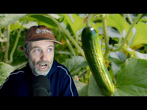 Garden Paper Mulch & Alfalfa: Soil & Weed Secrets