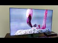 Samsung S 2023 TV Lineup OLED QLED And 8K QLED