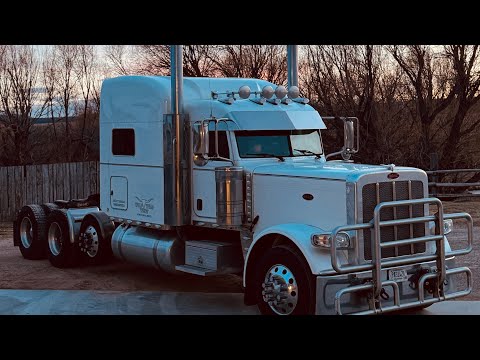 Ein Todeswind, ein Wutsturm und Kuhtransporte.