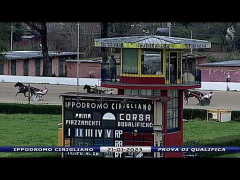 Aversa trotto 21 Gennaio 2023 - Prova di qualifica