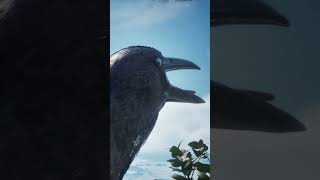 Crow for Scale | Infinitesimals | Coming in 2026!