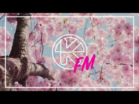 Dino DZ – Damn Phones