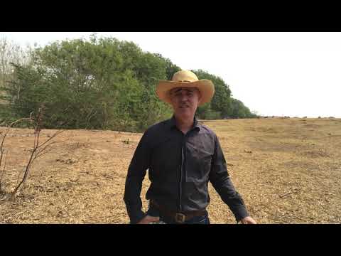 Homenagem ao Parrerito do Trio Parada Dura