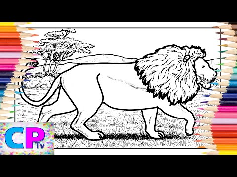 Lion Coloring Pages/Wild Animals Coloring/Lion the Greatest Animal/Diviners - Savannah[NCS Release]