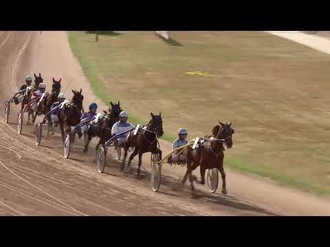 2020.06.06. 07. futam - LADY FLAME DÍJ