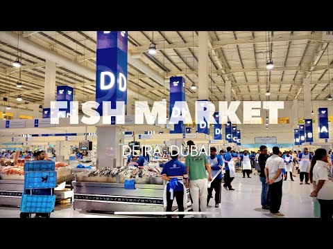 This place has everything 🐠🦀🐙🦑🦈🍤🦪