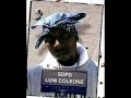 Luni Coleone  -  Straight Ni#ga