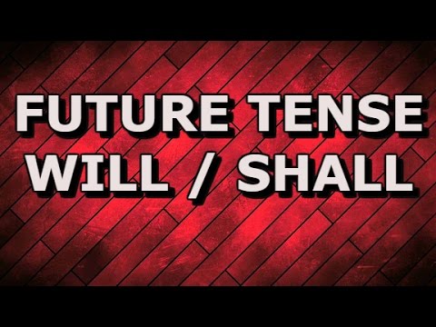 WILL / SHALL UNIT 26 / Essential Grammar in Use Elementary Book 1