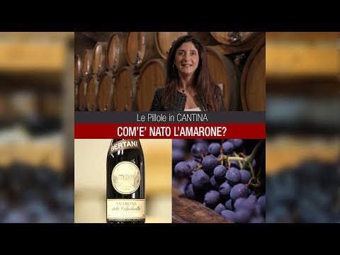 Bertani | La Vera Storia dell'Amarone