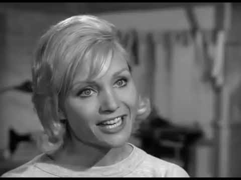 The Fugitive Season 1 Episode 5   Never Wave Goodbye Part 2