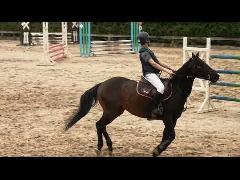 EBZ CSO ERSTEIN MAI 2023(2)