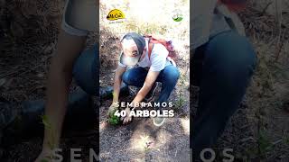 ¡Un enorme agradecimiento a McCain Colombia!