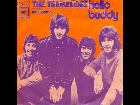 The Tremeloes - Hello Buddy (1971)