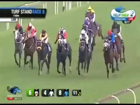 Sycamore Sprint (Grade 3) 2015