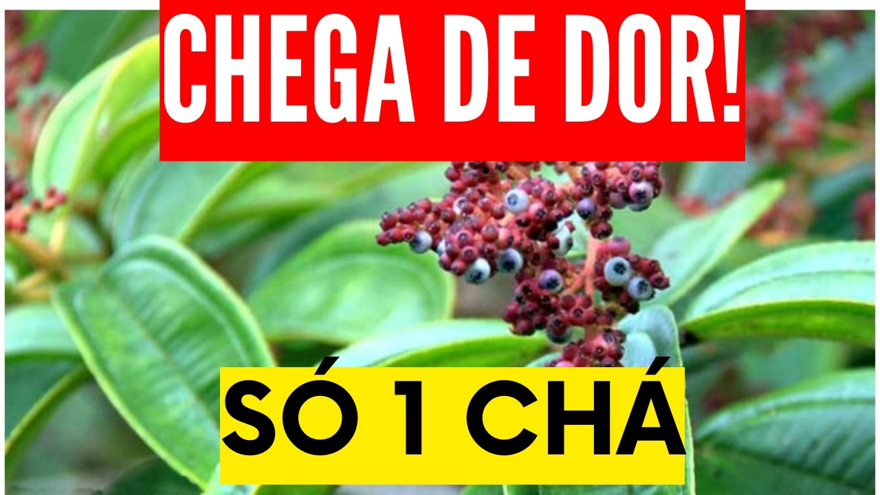 Só 1 CHÁ para INFLAMAÇÃO, ARTICULAÇÕES e DORES, FIBROMIALGIA, PROBLEMAS DIGESTIVOS