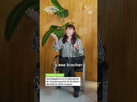 Patricia Bres- Investigadora en el Laboratorio de Transformación de Residuos del IMyZA-INTA Castelar