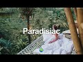 Mo' Horizons - Dance Naked Under Palmtrees