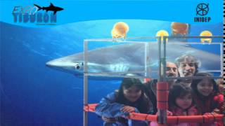 DIA 2 Expo Tiburon241