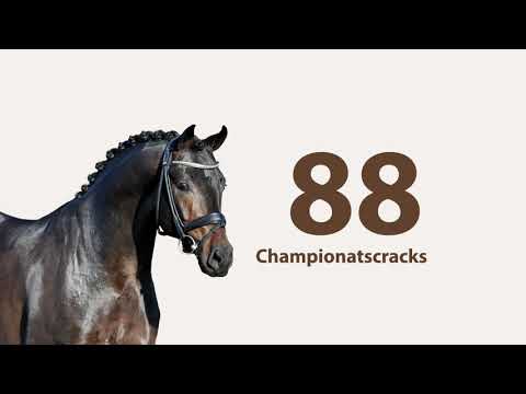 For Romance OLD 2021 deu