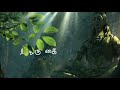 God Shiva Shivan Whatsapp Status Parthene Uyirin Valiye Mookuthi Amma Song KiLLER