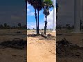 Windmill Windmill Tamilnadu Tamil Windmillfarm Travel Travelvlog Powergeneration India