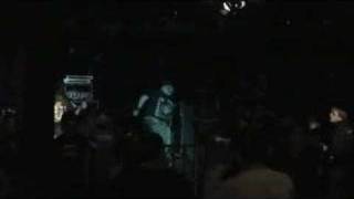 Full Blown Chaos - Halos for Heroes