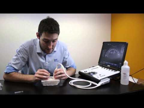 Ultrasound Guided Needle Biopsy Techniques Video 4 - Sampling Techniques FNA