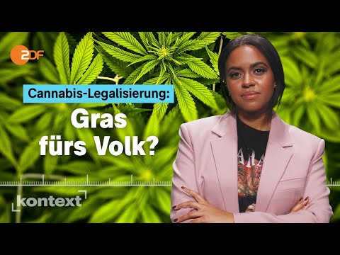 Legalisierung von Cannabis - was der Staat jetzt beachten muss! I Kontext