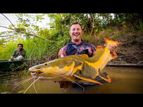 Amazon River Food Chain Fishing Challenge! Worms to Giant Fish!