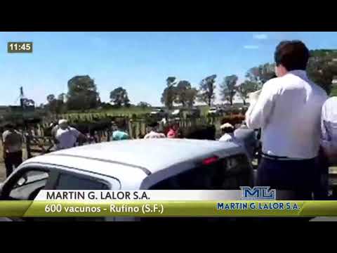 Martín G Lalor SA   Rufino Sta FE