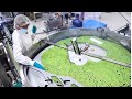 Inside AstraZeneca Modern Pharmaceutical Production Plant Modern Factory