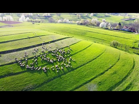 Izbuc și Călugări, Cariera de calcar de la Cărpinet, Bihor, România, Drone video, 1 min.