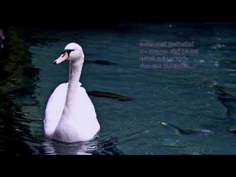 Hasanganak Woovothin - හසඟනක් වූවොතින්