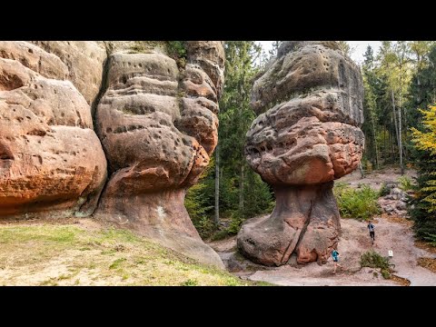 Video-Vorschau