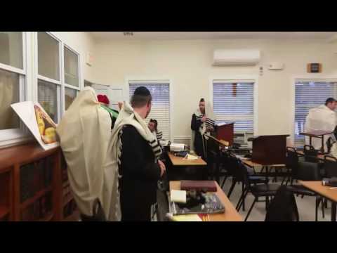 Tumid B'Simcha Guy Day 7