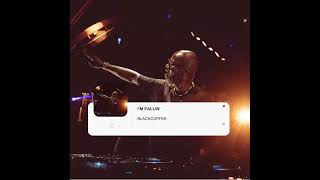 Download lagu BLACK COFFEE FT RY X - I'M FALLIN' mp3 Download lagu BLACK COFFEE FT RY X - I'M FALLIN' mp3