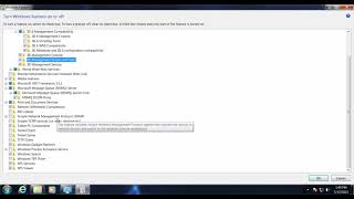 Config Window Feature before Install WinCC