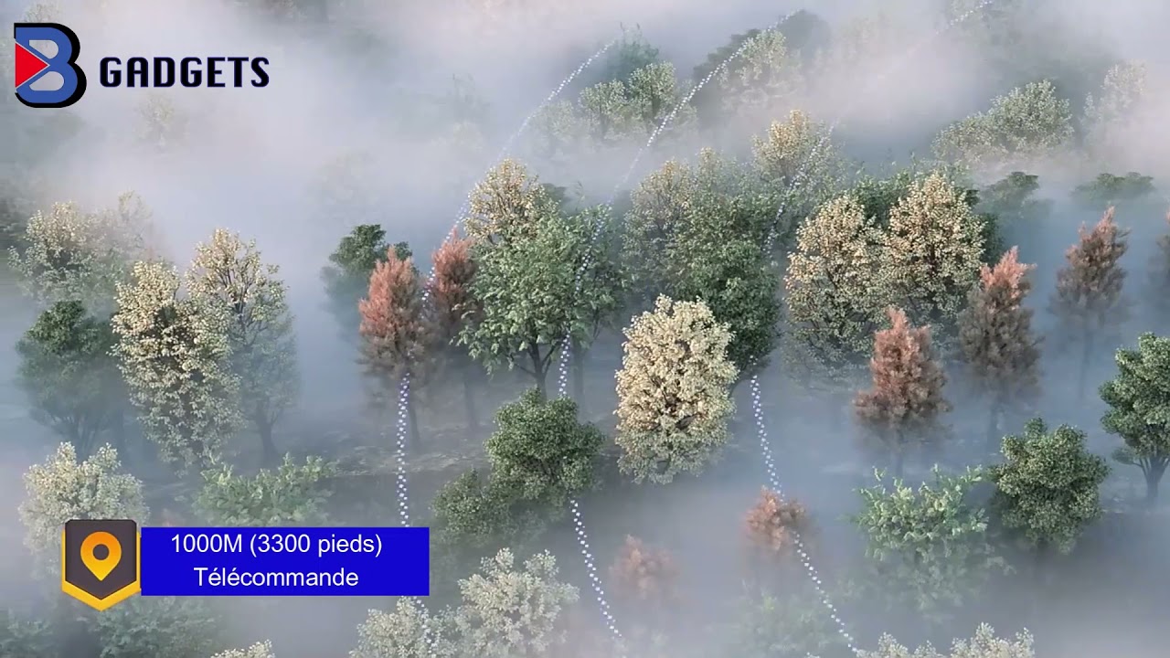 Collier Anti-aboiement Rechargeable