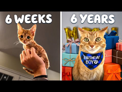 Wo ist die Zeit geblieben?