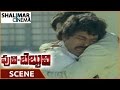 Puli Bebbuli Movie Chiranjeevi And Krishnam Raju Emotional Scene పులి బెబ్బుల�