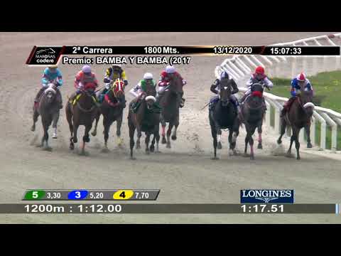 201213 c02 ESTE DORADO