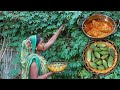 Dinner Cooking BitterGround Curry Village Life In Gujrat India Traditional Kitchen Food